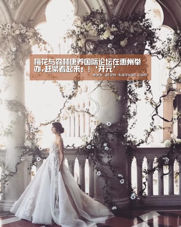 梅花与森林康养国际论坛在惠州举办,赶紧看起来!!‘开元’(图2) 开元棋牌官网