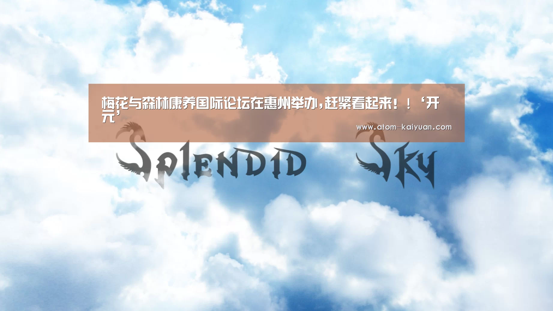 梅花与森林康养国际论坛在惠州举办,赶紧看起来!!‘开元’(图3) 开元