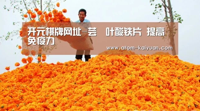 开元棋牌网址-芸璟叶酸铁片 提高免疫力(图3) 开云棋牌网页版