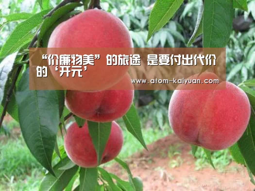 “价廉物美”的旅途 是要付出代价的‘开元’(图3) 开云棋牌网页版