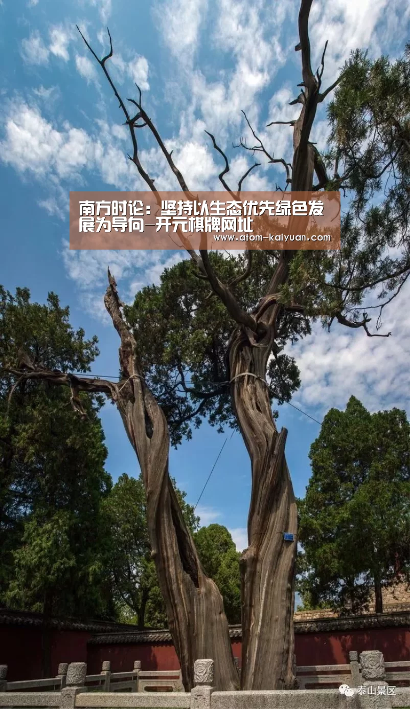 南方时论:坚持以生态优先绿色发展为导向-开元棋牌网址(图3) 开元棋牌官网
