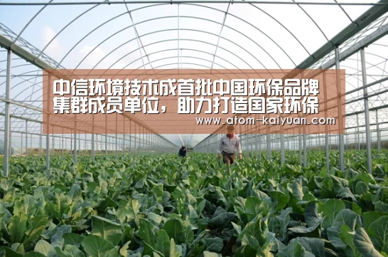中信环境技术成首批中国环保品牌集群成员单位,助力打造国家环保品牌“开云棋牌网页版”(图3) 开元棋牌官网