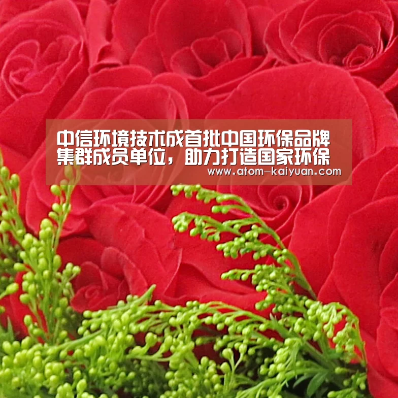 中信环境技术成首批中国环保品牌集群成员单位,助力打造国家环保品牌“开云棋牌网页版”(图1) 开元