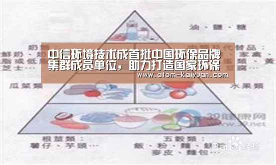 中信环境技术成首批中国环保品牌集群成员单位,助力打造国家环保品牌“开云棋牌网页版”(图4) 开元