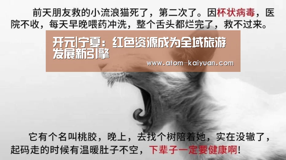 开元棋牌官网