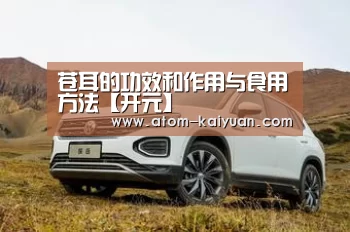 苍耳的功效和作用与食用方法【开元】(图4) 开云棋牌网页版