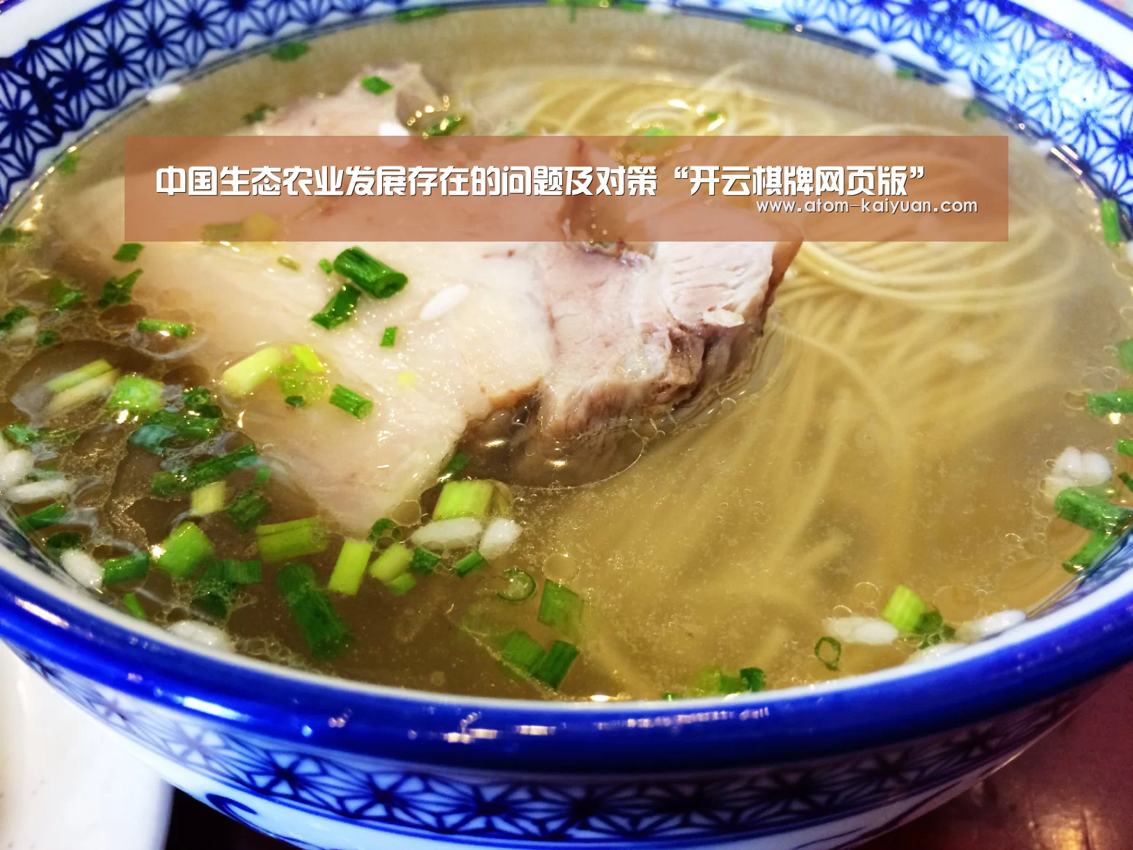 中国生态农业发展存在的问题及对策“开云棋牌网页版”(图2) 开元棋牌网址