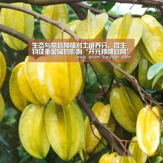 生态与常规种植对土壤养分、微生物及重金属的影响‘开元棋牌官网’(图1) 开元